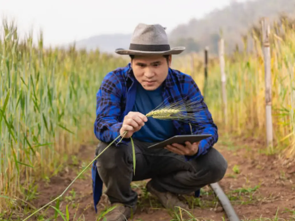 salons de l'agriculture 2024